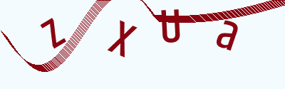 验证码
